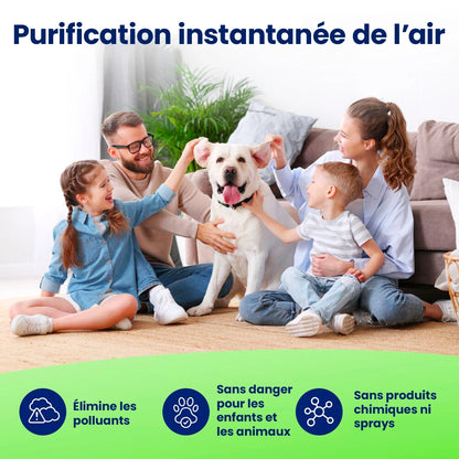Purificateur d'air ionique⎟Mavvix Air
